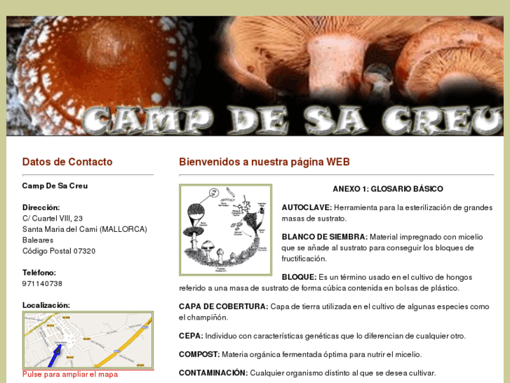 www.campdesacreu.es