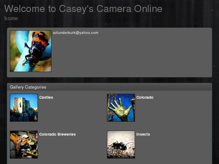 www.caseyscameraonline.com