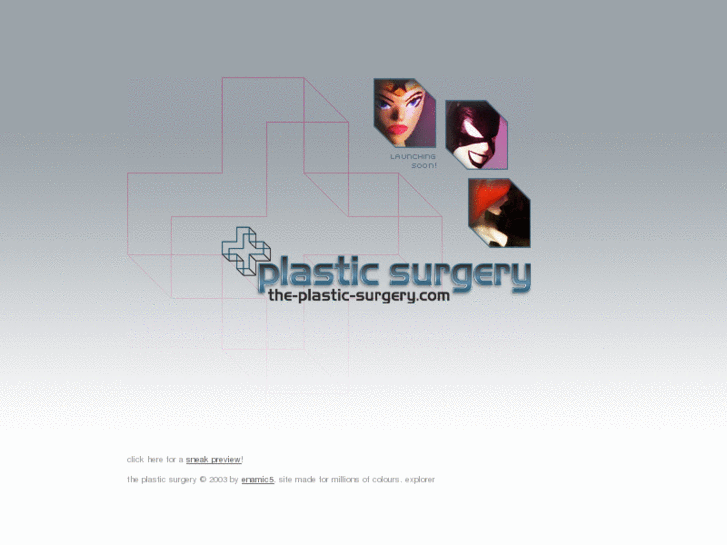 www.the-plastic-surgery.com