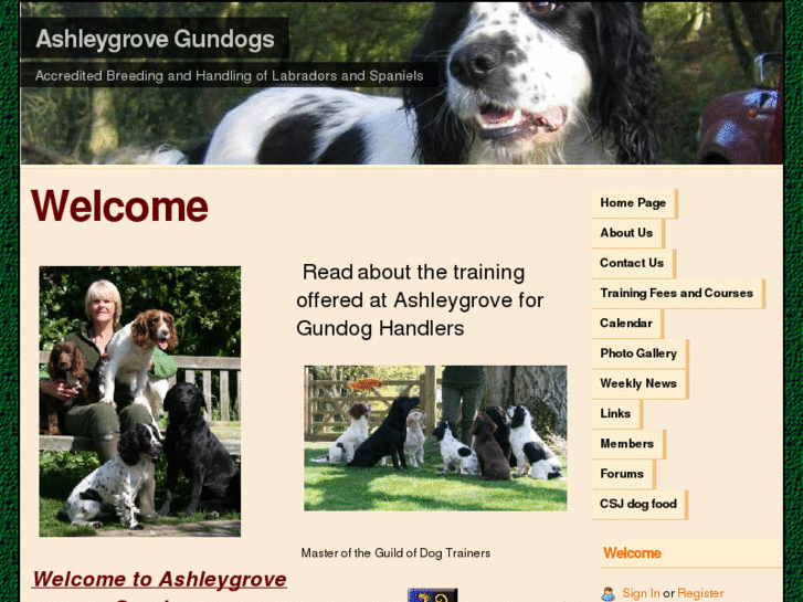 www.ashleygrovegundogs.com