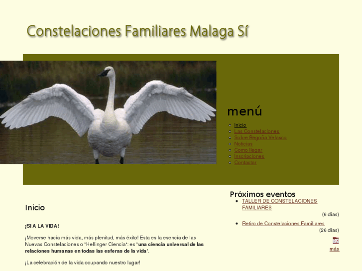 www.constelacionesfamiliaresmalagasi.com