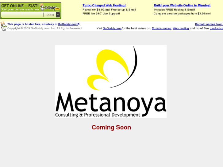 www.metanoyaconsulting.net
