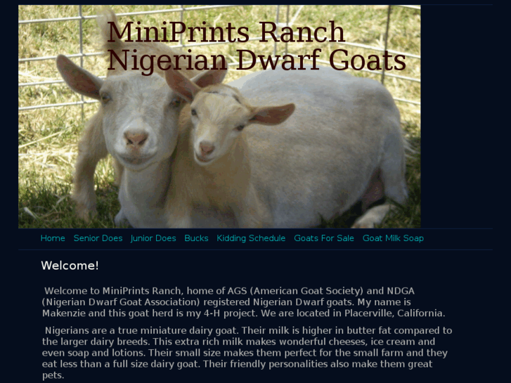 www.miniprintsranch.com