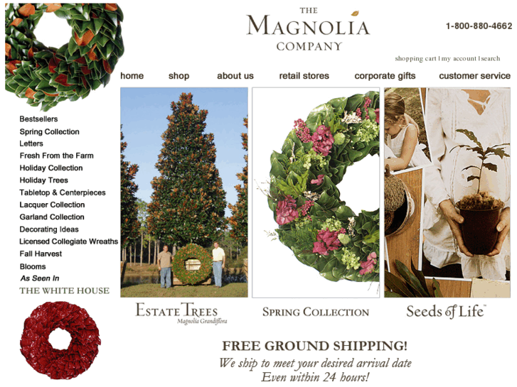 www.themagnoliacompany.com