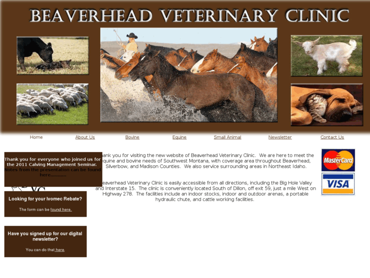 www.beaverheadvet.com