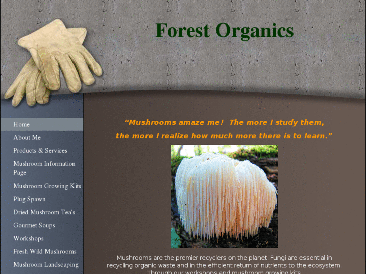 www.foragedandfoundorganics.com