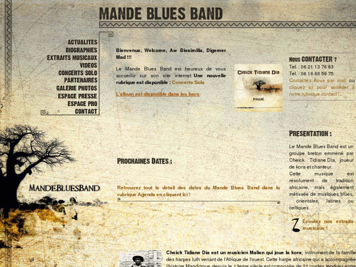 www.mandebluesband.com