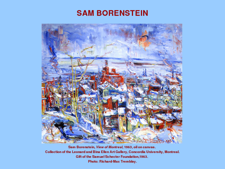 www.samborenstein.com