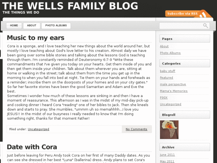 www.thewellsfamilyblog.com