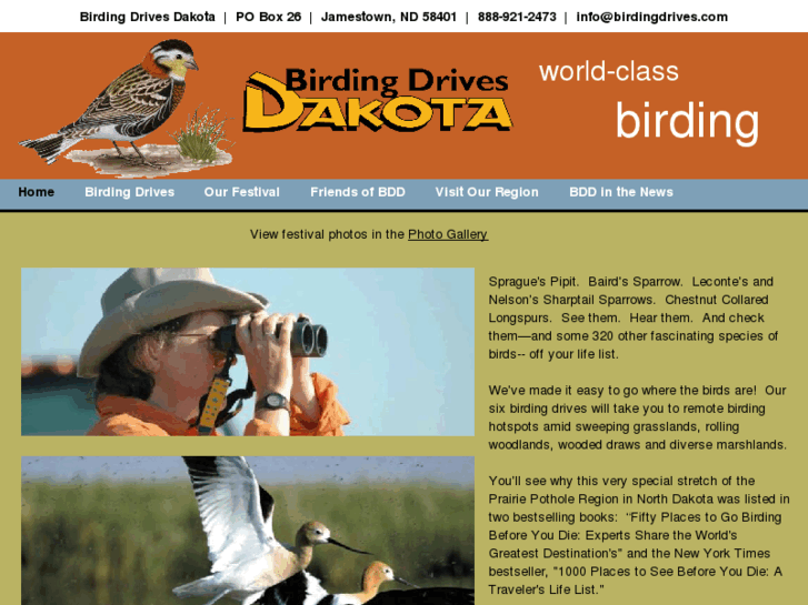 www.birdingdrives.com