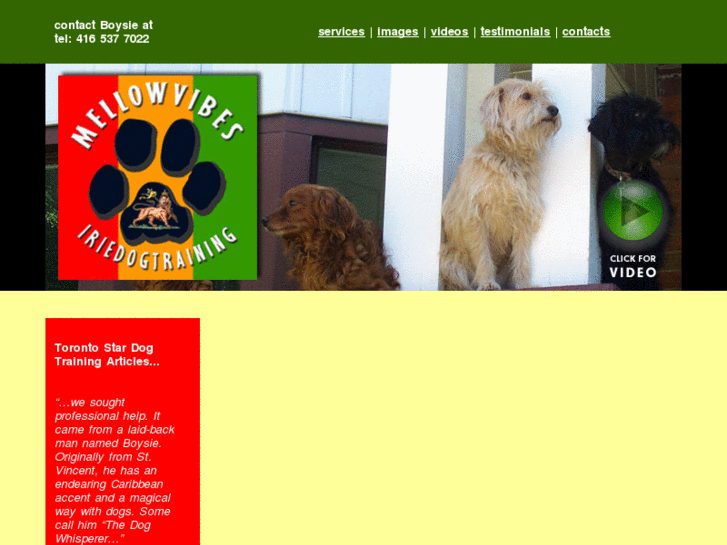 www.mellowvibesiriedogtraining.ca