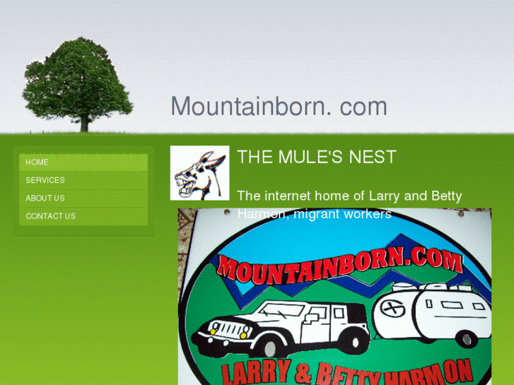 www.mountainborn.com