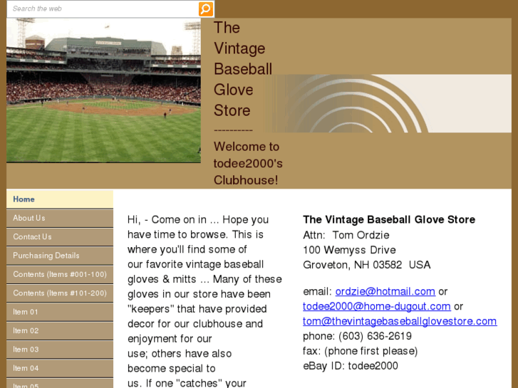 www.thevintagebaseballglovestore.com