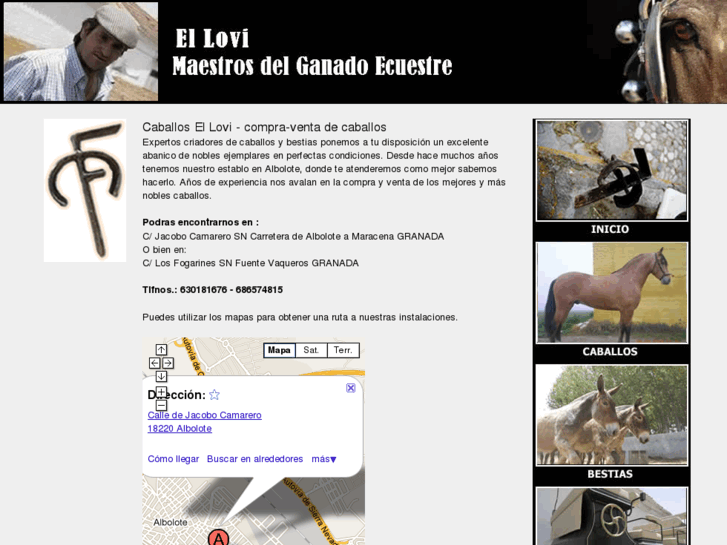 www.caballosellovi.es