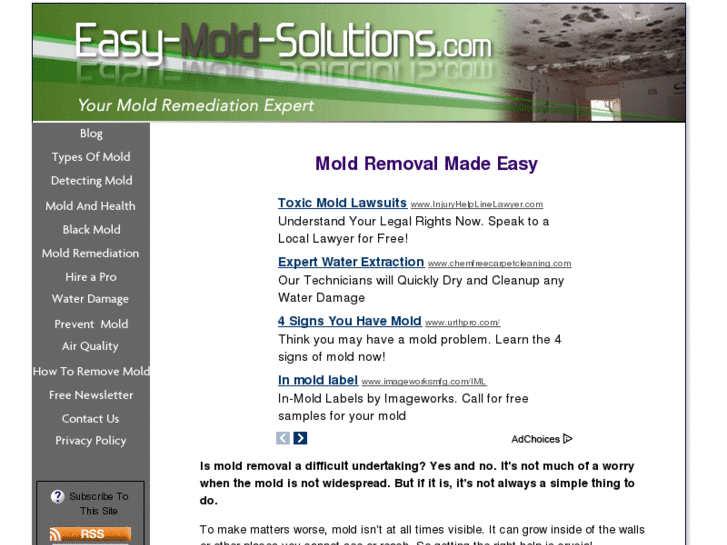 www.easy-mold-solutions.com