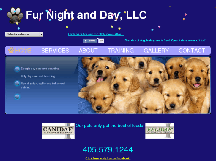 www.furnightandday.com