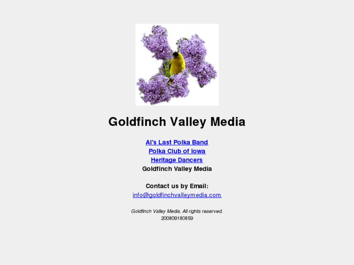 www.goldfinchvalleymedia.com