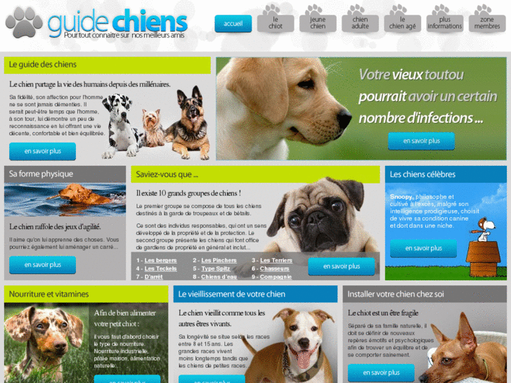 www.guide-chiens.com