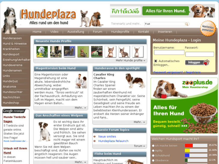 www.hundeplaza.de