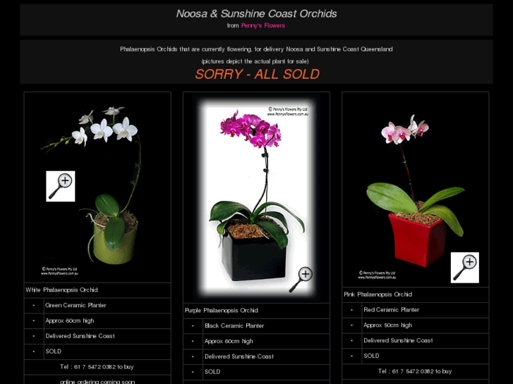 www.noosaorchids.com