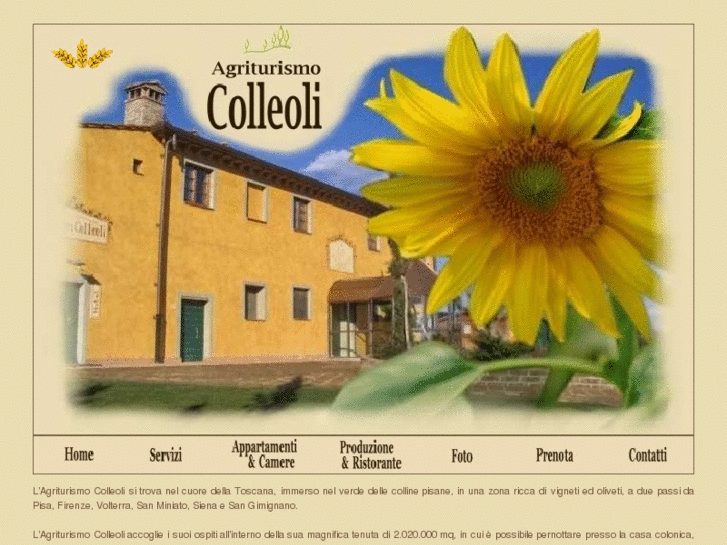 www.colleoli.org