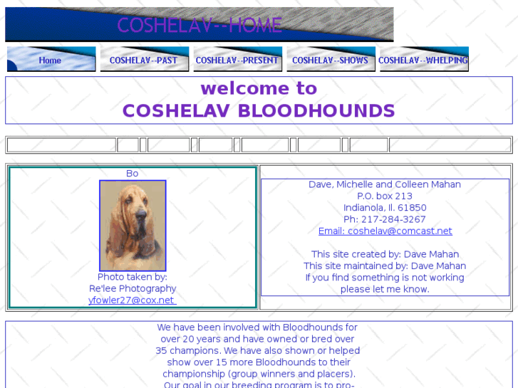 www.coshelavbloodhounds.com