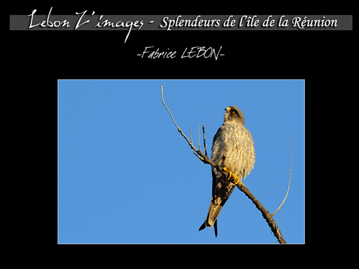 www.lebon-zimages.com