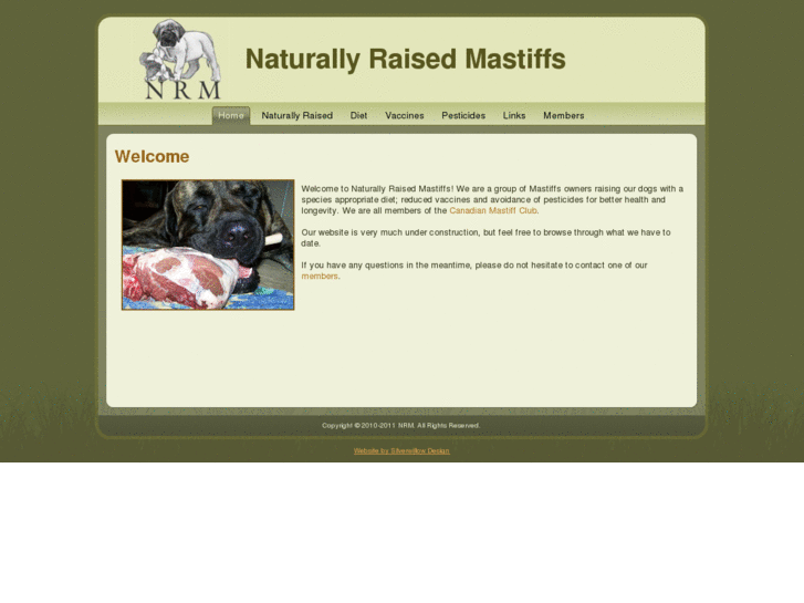 www.naturallyraisedmastiffs.com