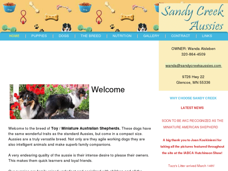 www.sandycreekaussies.com