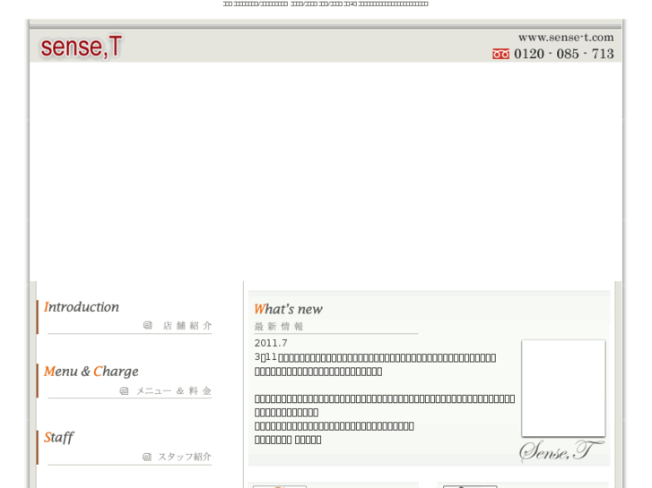 www.sense-t.jp