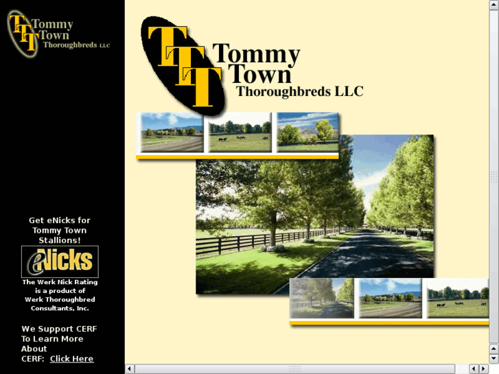 www.tommytownfarms.com