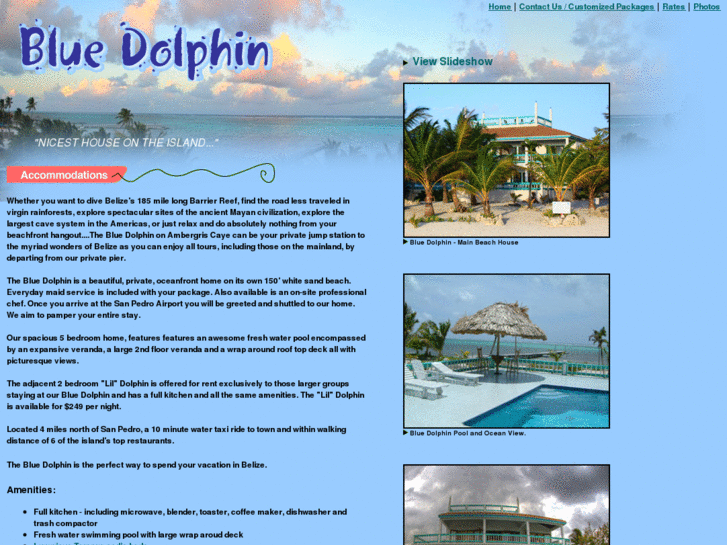 www.bluedolphinbelize.com