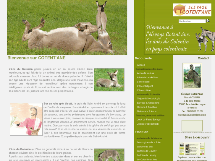 www.cotentane.com