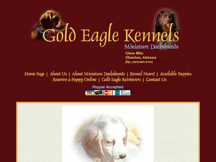 www.goldeaglekennels.com