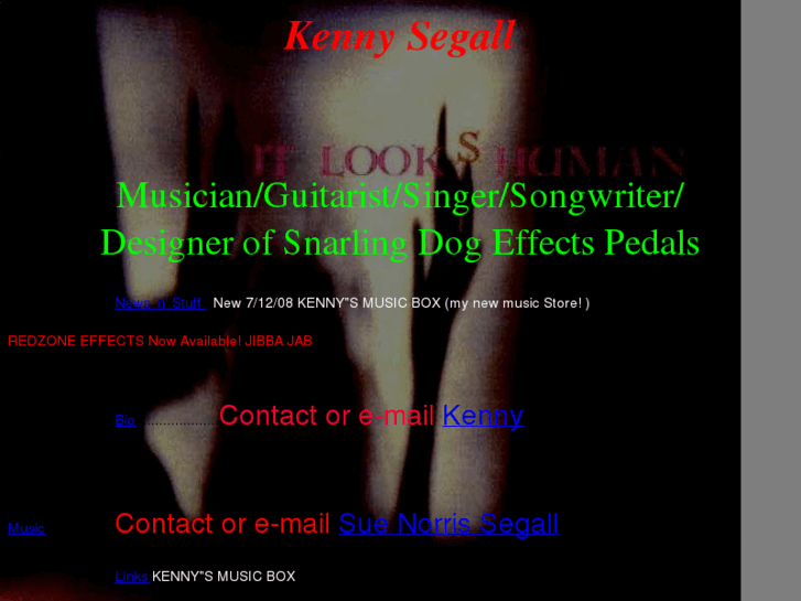 www.kennysegall.com