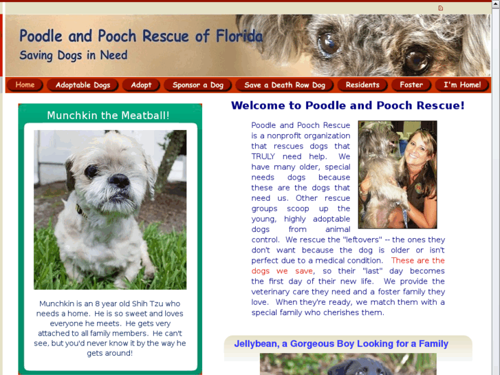 www.poochandpoodlerescue.com