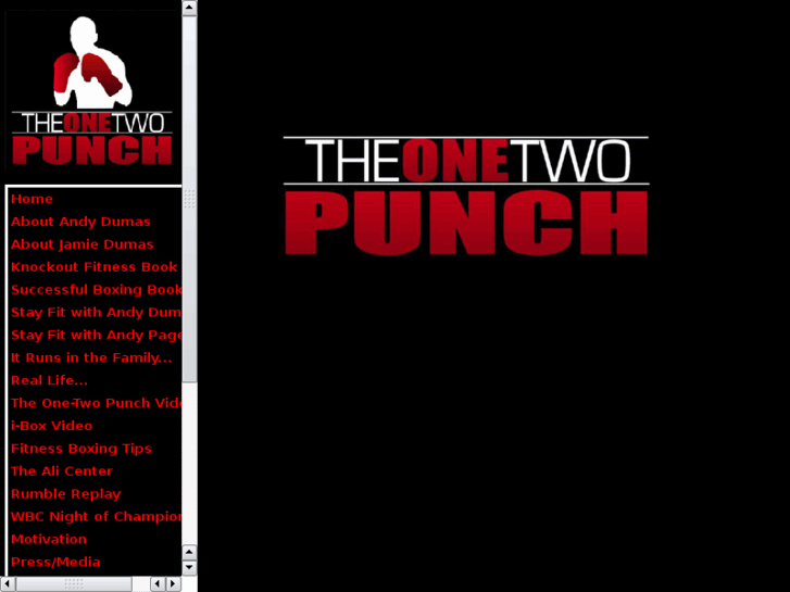 www.theonetwopunch.com