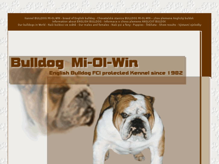 www.bulldog-mi-ol-win.com