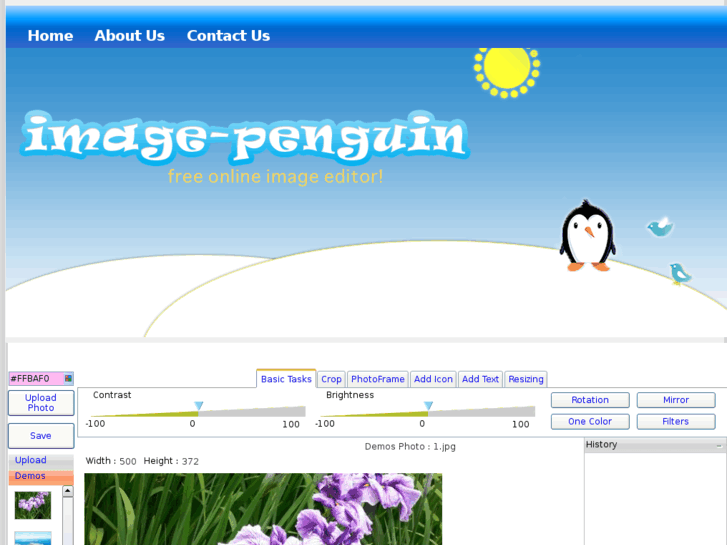 www.image-penguin.com