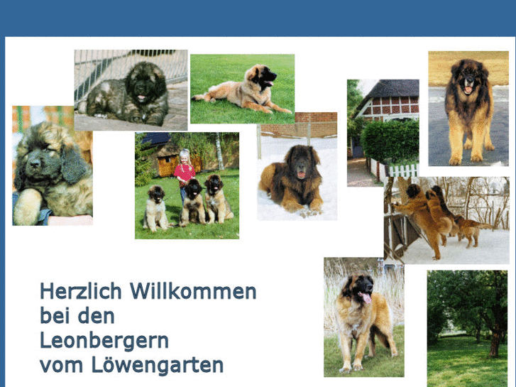 www.leonbergervomloewengarten.de