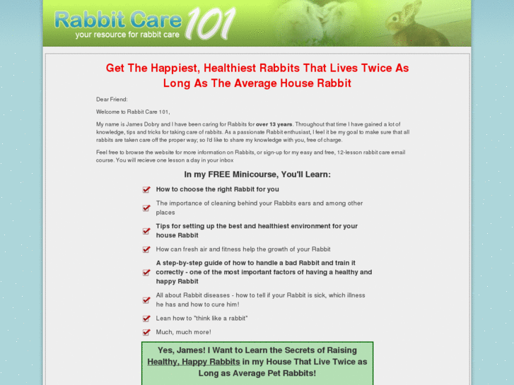 www.rabbitcare101.com