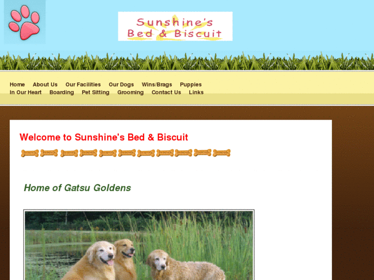 www.sunshinesbedandbiscuit.com