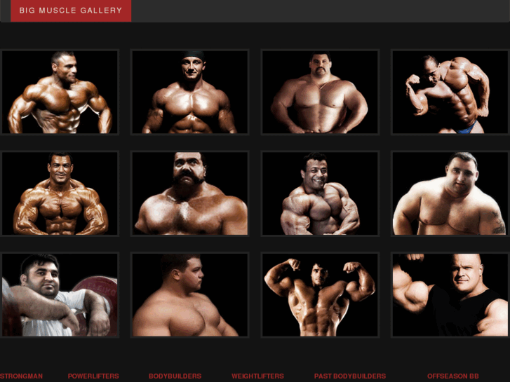 www.bigmusclegallery.net