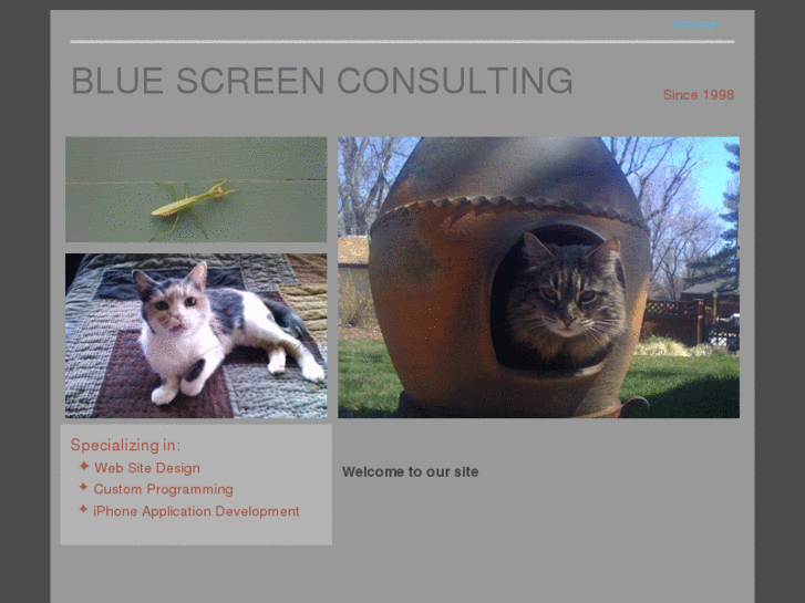 www.bluescreenconsulting.net