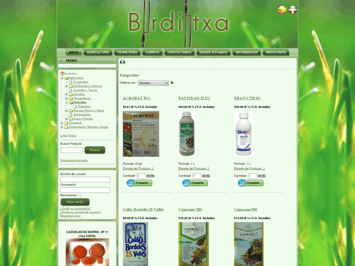 www.burdintxa-loiu.com