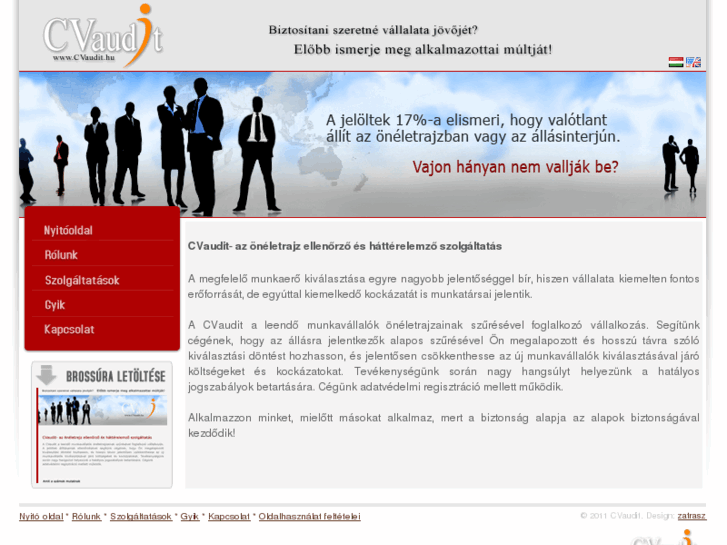 www.cvaudit.net