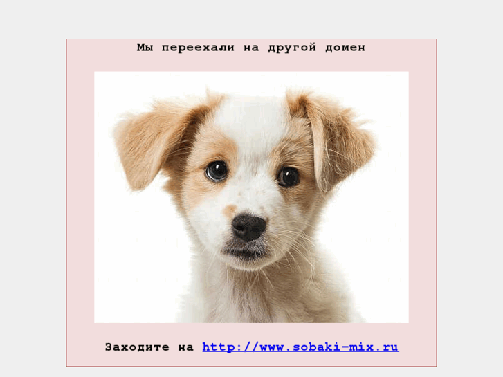 www.fotosdog.ru