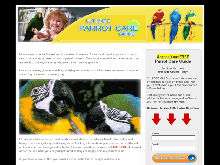 www.ultimateparrotcareguide.com