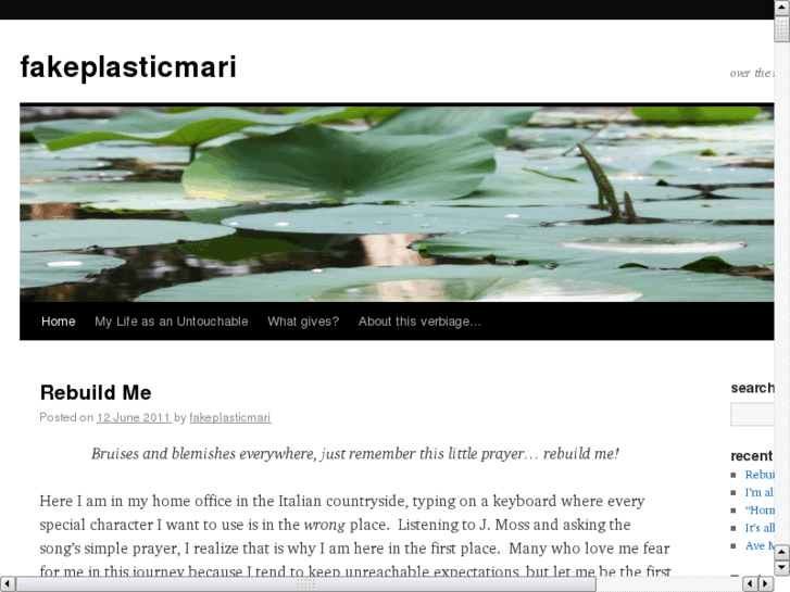 www.fakeplasticmari.com