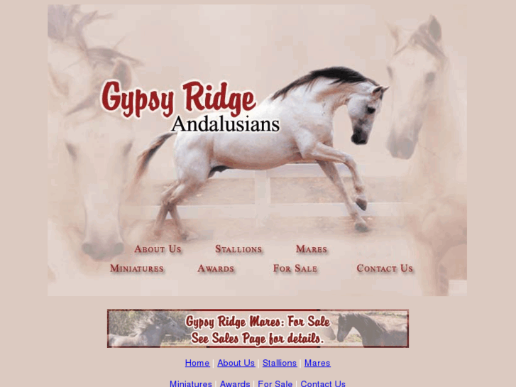 www.gypsyridgeandalusians.com